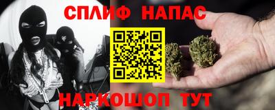 молекула духа Пенза