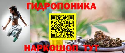 молекула духа Пенза
