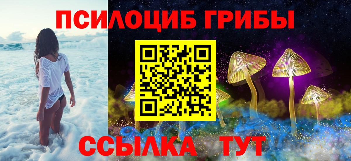Псилоцибиновые грибы мицелий Сорочинск
